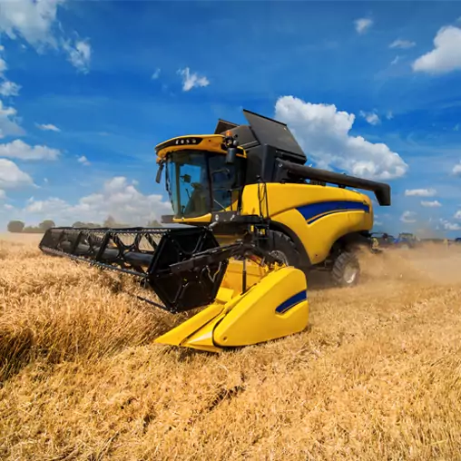 Agrocasco