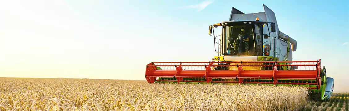 Agrocasco